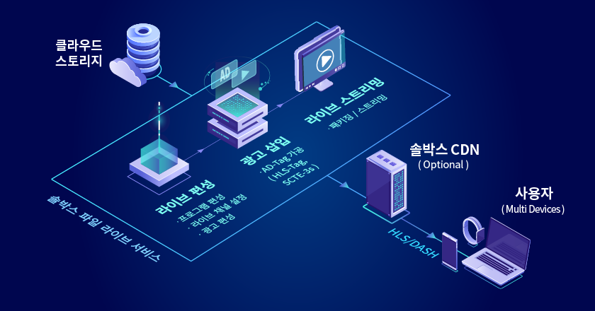 라이브 편성